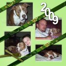 8.5 x 8.5 Paper Back Photo Book