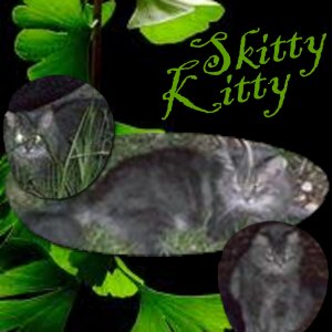 Animals Skitty 8.5 x 8.5