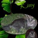 Animals Skitty Template 4 x 6