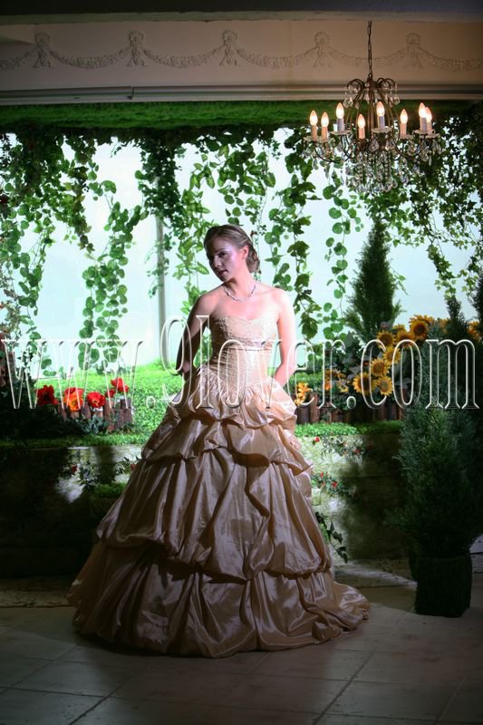 2012 Quinceanera dress & Ball Gown 9loverQ0004