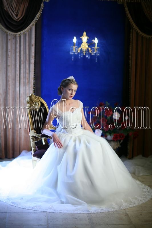 2012 Cinderella Ball Gown Wedding Dress 9lover0006