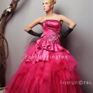 Amzaing Hot Pink Purry Quinceanera Dress 010