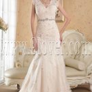 vintage light champagne lace v-neck a-line floor length wedding dress IMG-4843