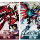 Saviour /Destiny Gundam