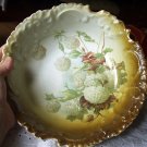 Antique Rosenthal Bavaria Bowl-Nice Color Pattern-White Snowball Flowers
