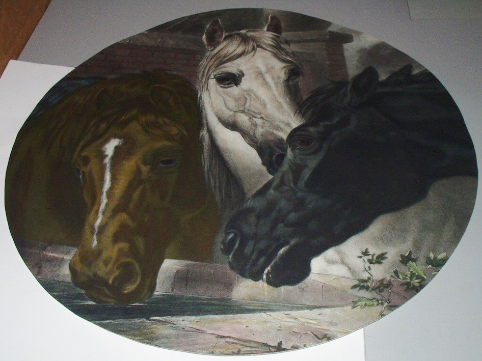 Horses John Fredrick Herring Artist Rare Original 1800 Antique Hand