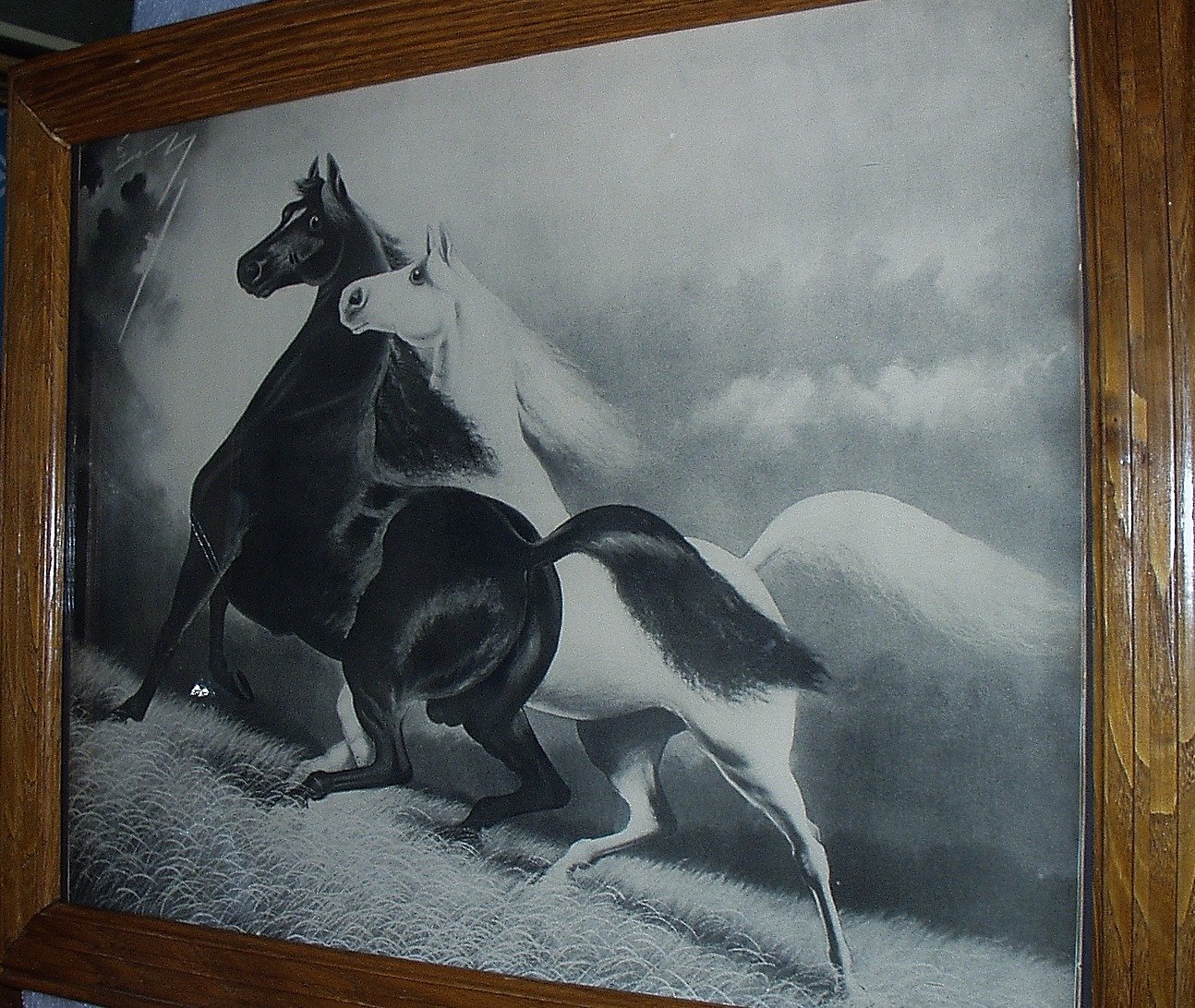 Spirited Horses No. 2 Original 1900s Black and White Horses Running