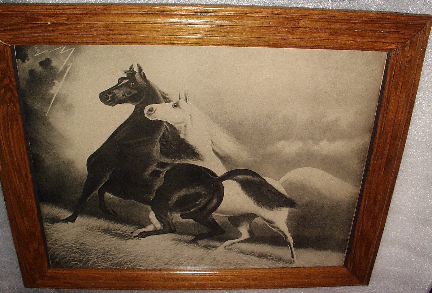 Spirited Horses No. 2 Original 1900s Black and White Horses Running