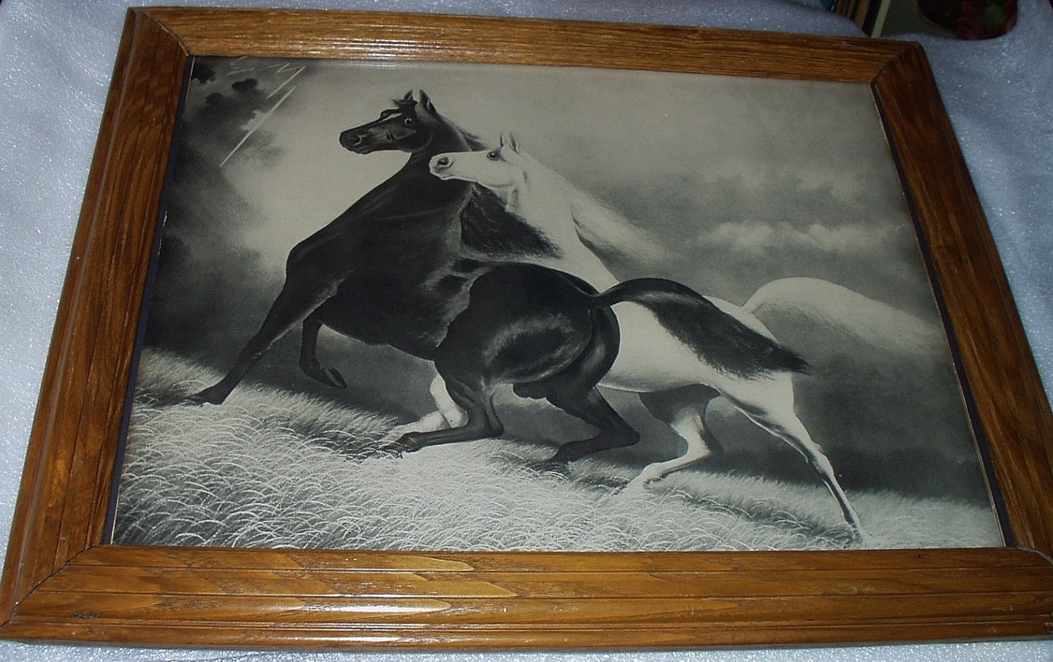 Spirited Horses No. 2 Original 1900s Black and White Horses Running