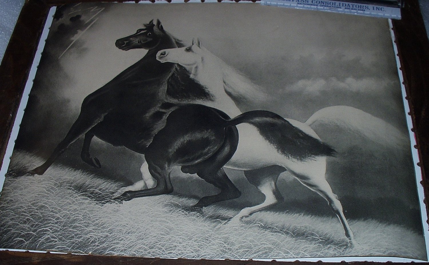 Spirited Horses No. 2 Original 1900s Black and White Horses Running