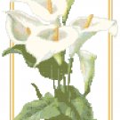 Calla Lilies Pattern Chart Graph