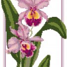 Deep Lavender Orchids Pattern Chart Graph Deep Lavender Orchids Pattern Chart Graph