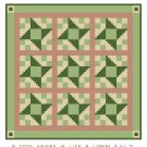 Friendship Star Variation Quilt Friendship Star Variation Quilt