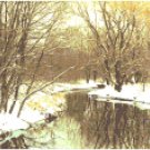 Blackberry Creek Landscape Patterm