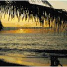 Puerto Vallarta Sunset Seascape Pattern Chart Graph
