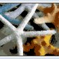 Gifts of the Sea - Starfish Still Life Pattern Chart Graph