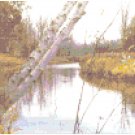 Northwoods Birch Creek Landscape Pattern Chart Graph