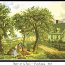 Autumn 1869 Pattern Chart Graph