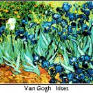 Van Gogh's Irises Pattern Chart Graph
