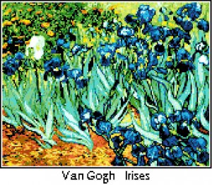 Van Gogh's Irises Pattern Chart Graph