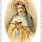 St. Rose of Lima Pattern Chart Graph
