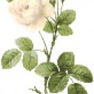 Redoute's White Moss Rose Pattern Chart Graph