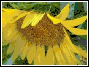 Shy Sunflower Pattern Chart Graph