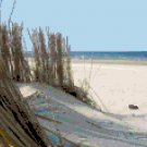Beach Life Seascape Pattern Chart Graph