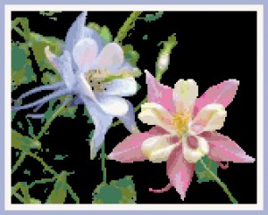 Elegant Columbine Pattern Chart Graph