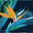 Bird of Paradise Pattern Chart Graph Bird of Paradise Pattern Chart Graph