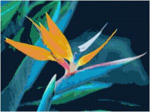 Bird of Paradise Pattern Chart Graph