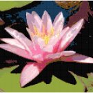 Blushing Pink Waterlily Pattern Chart Graph