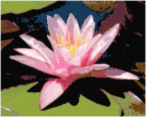 Blushing Pink Waterlily Pattern Chart Graph
