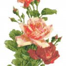 Garden Fresh Roses Pattern Chart Graph Garden Fresh Roses Pattern Chart Graph