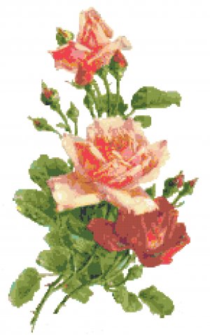 Garden Fresh Roses Pattern Chart Graph