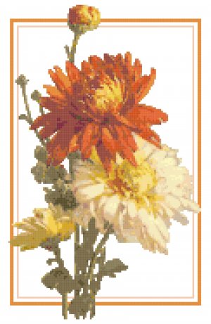 Chrysanthemums 2 Pattern Chart Graph