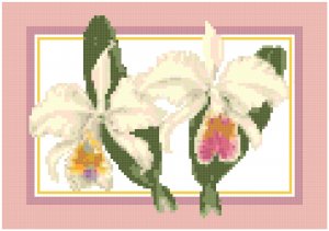 White Corsage Orchids Pattern Chart Graph
