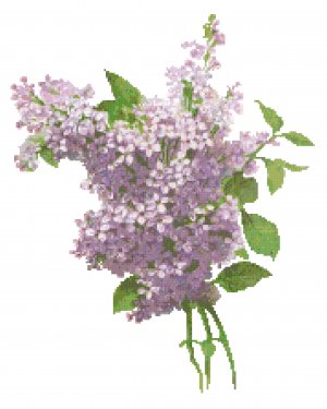 Lilac Blossoms 2 Pattern Chart Graph