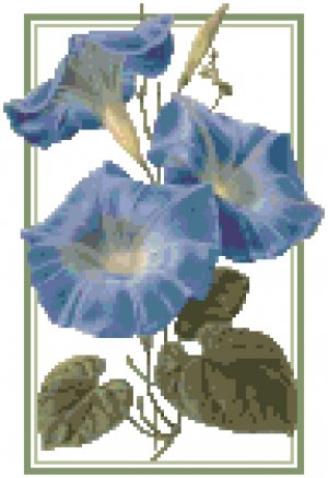 Heavenly Blue Morning Glories Pattern Chart Graph