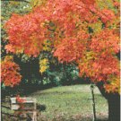 Autumn in the Country Landscape Pattern Chart Graph Autumn in the Country Landscape Pattern Chart Graph