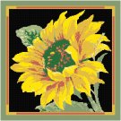 Sunflower Pattern Chart Graph Sunflower Pattern Chart Graph