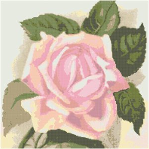 Pink Parfait Rose Pattern Chart Graph