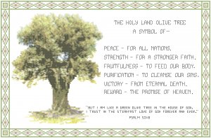 Holy Land Olive Tree Pattern Chart Graph