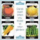 My Garden Pattern Chart Graph My Garden Pattern Chart Graph