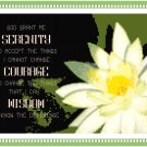 Serenity Prayer 2