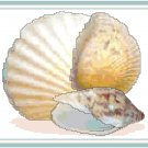 Gifts of the Sea 3 Still LIfe Pattern Chart Graph Gifts of the Sea 3 Still LIfe Pattern Chart Graph
