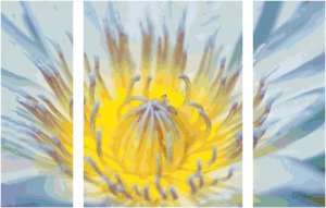Blue Lotus Flower Triptych Pattern Chart Graph