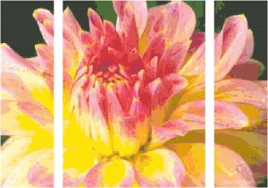 In Full Blush Triptych Pattern Chart Graph