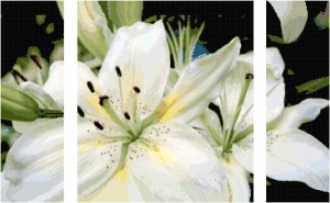 White Lilies Triptych Pattern Chart Graph