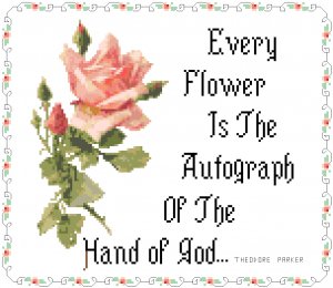 God's Autograph Pattern Chart Graph